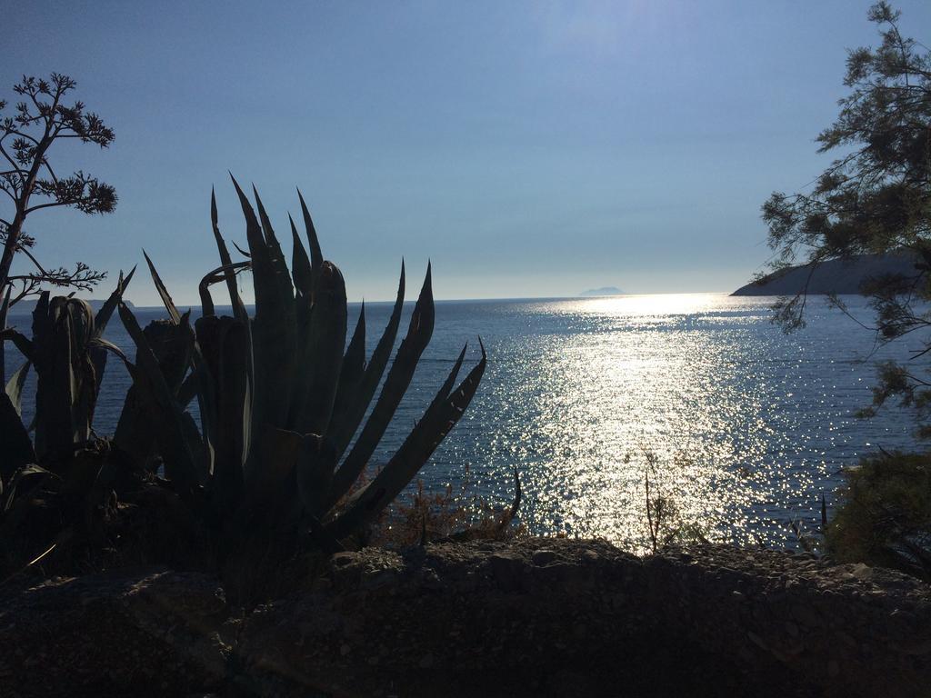 Villa Lavendel Trogir Eksteriør billede